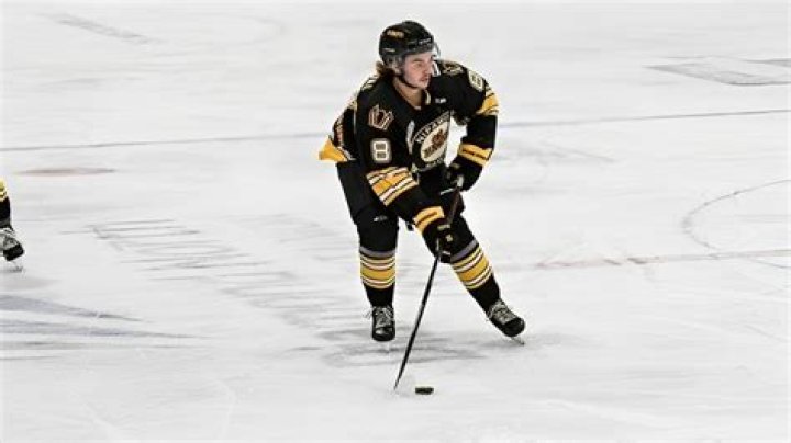 Unleash The Secrets Of Brady Grasdal's Hockey Prowess