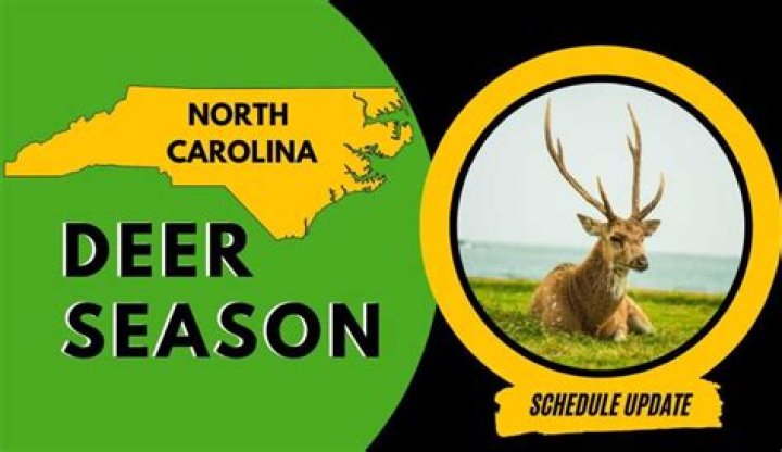 Unlock The Secrets Of North Carolina Deer Hunting: Discoveries Await!