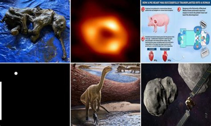 Unveiling Kathy Travis's Net Worth: Discoveries And Insights